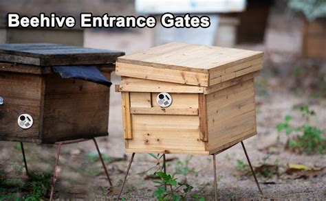 bee hive nuc box entrance gates entrance disc stainless steel|Flexzion Bee Hive Entrance Gate (12 pcs) Stainless Steel Bee .